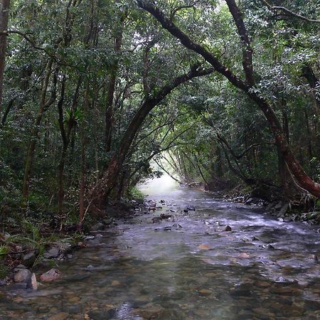 Heritage Lodge In The Daintree Cape Tribulation Esterno foto