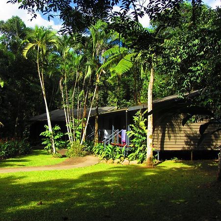 Heritage Lodge In The Daintree Cape Tribulation Esterno foto