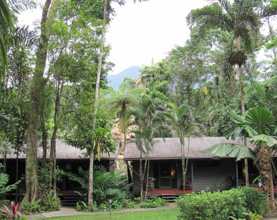 Heritage Lodge In The Daintree Cape Tribulation Esterno foto