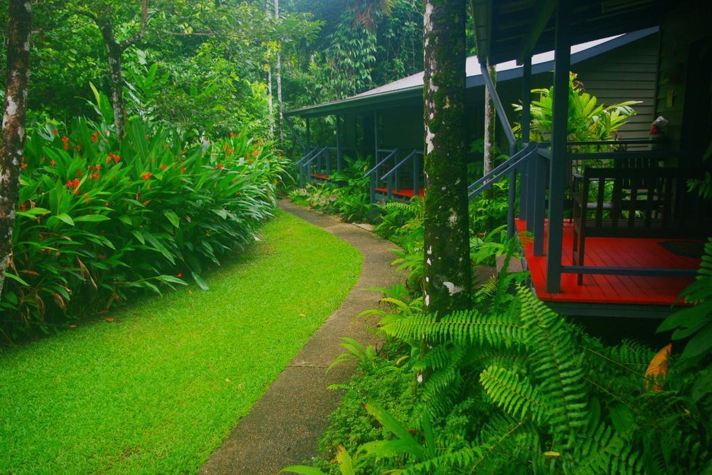 Heritage Lodge In The Daintree Cape Tribulation Esterno foto