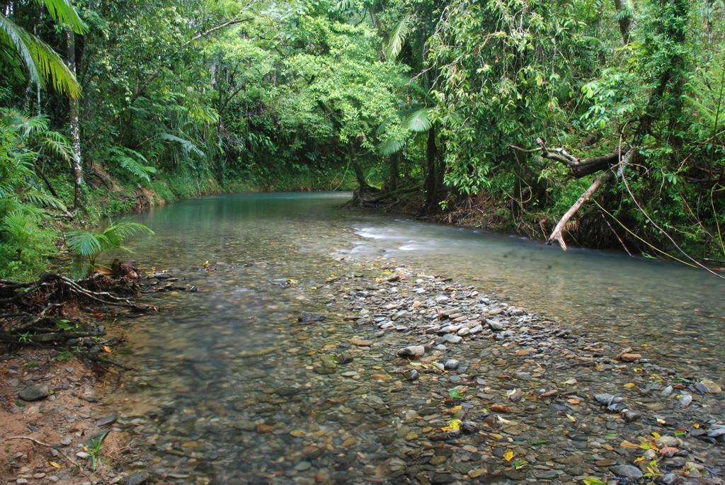 Heritage Lodge In The Daintree Cape Tribulation Esterno foto