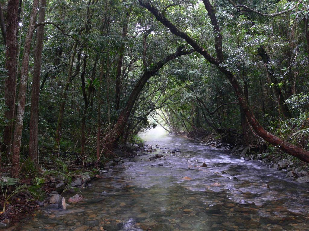Heritage Lodge In The Daintree Cape Tribulation Esterno foto