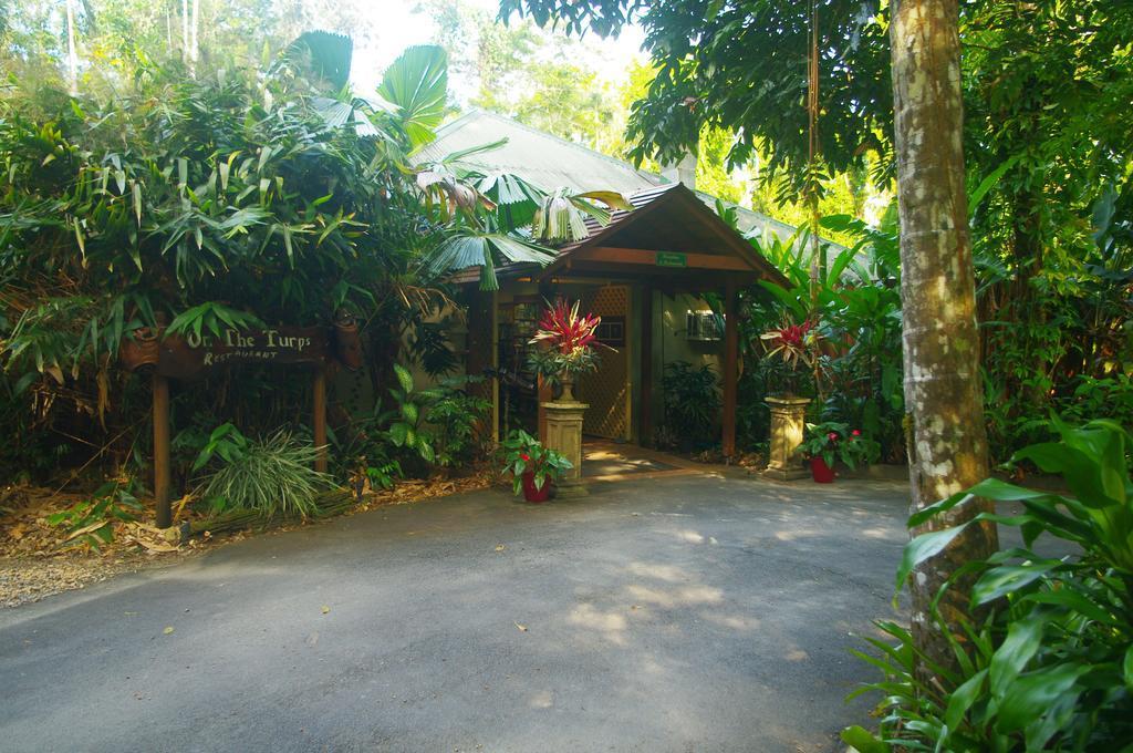 Heritage Lodge In The Daintree Cape Tribulation Esterno foto